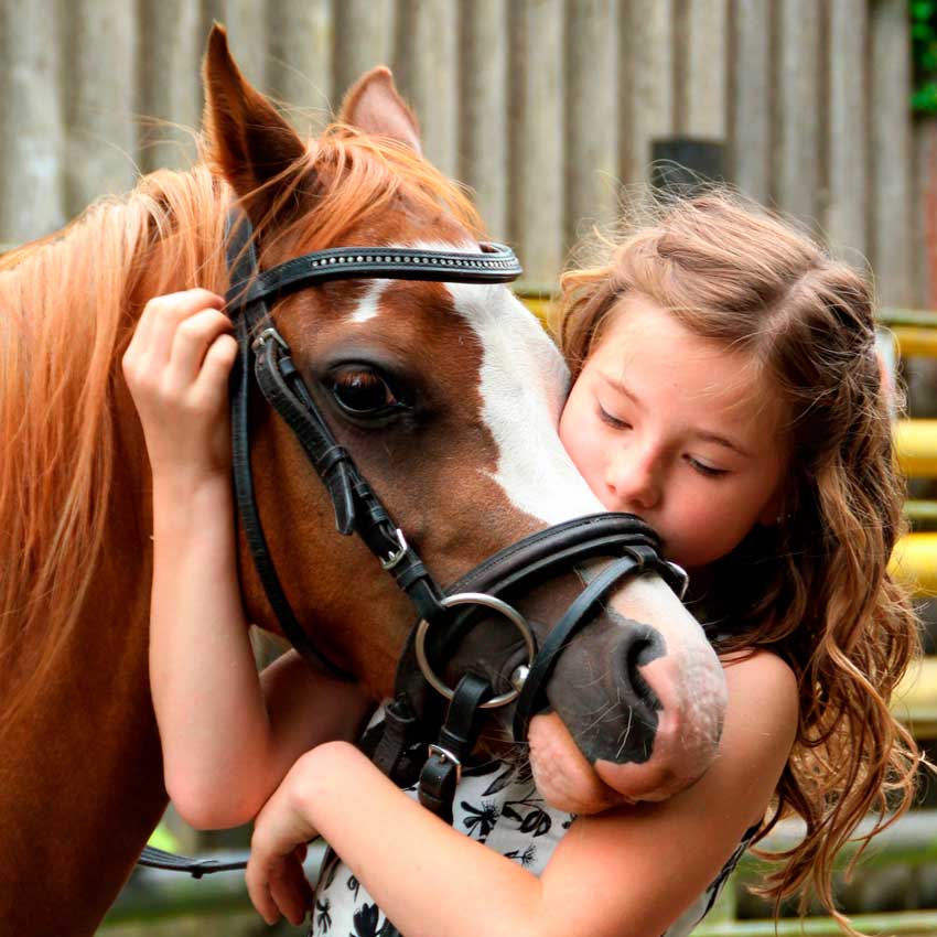 niña abrazando un caballo