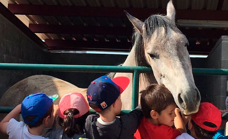 niño acariciando caballo